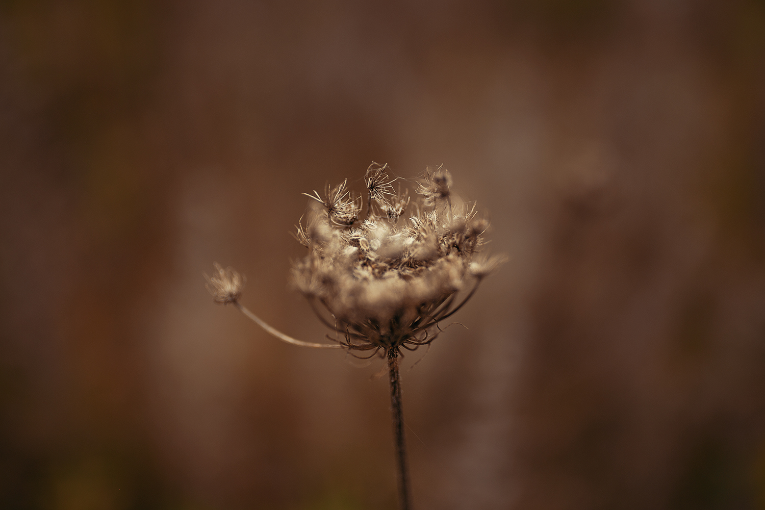 Farben in der Fotografie