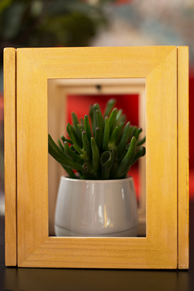 DIY Terrarium Bilderrahmen Ikea Hack Pflanze